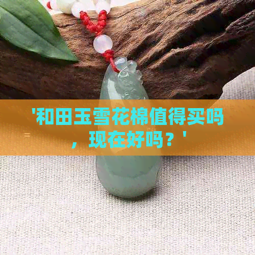 '和田玉雪花棉值得买吗，现在好吗？'