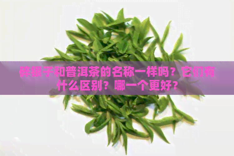 碎银子和普洱茶的名称一样吗？它们有什么区别？哪一个更好？