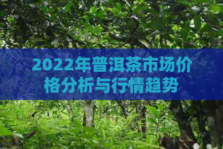 2022年普洱茶市场价格分析与行情趋势