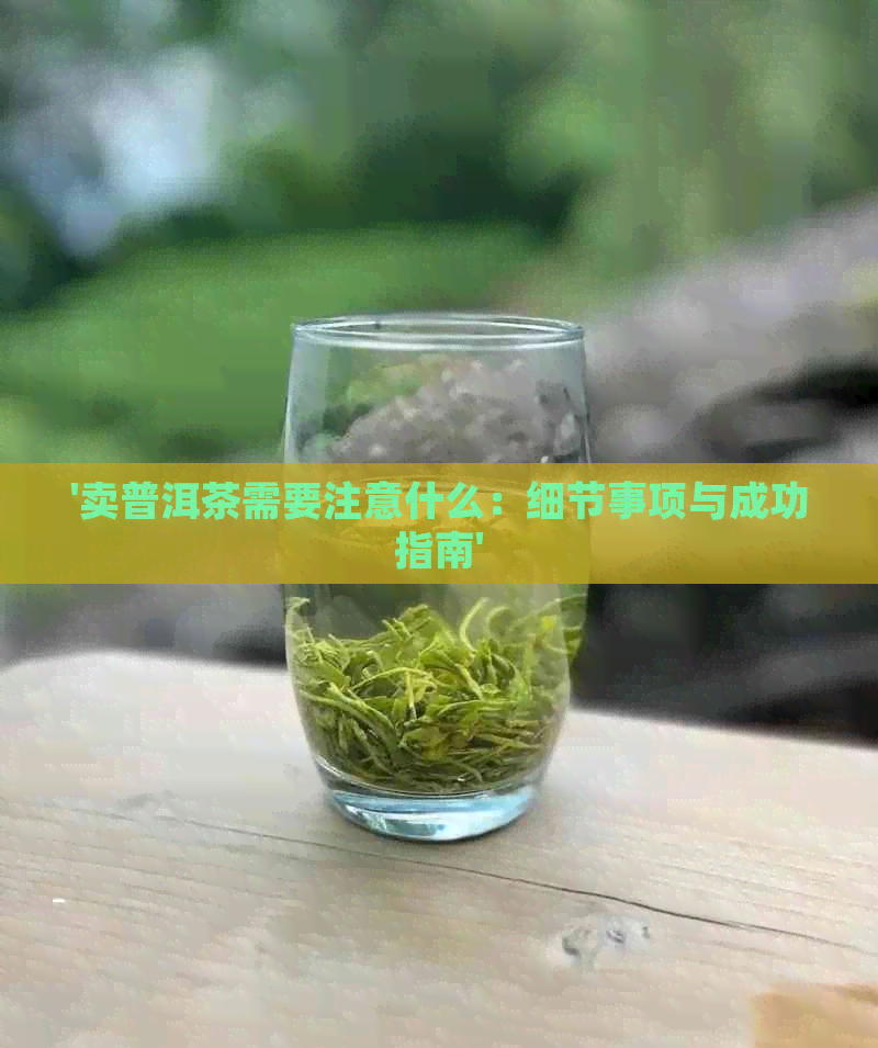 '卖普洱茶需要注意什么：细节事项与成功指南'