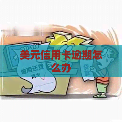 美元信用卡逾期怎么办