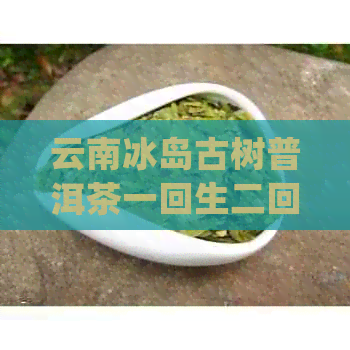 云南冰岛古树普洱茶一回生二回熟400g精品茶叶价格与口感对比