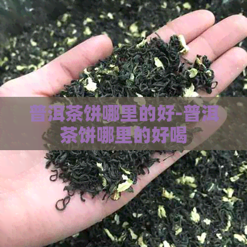 普洱茶饼哪里的好-普洱茶饼哪里的好喝