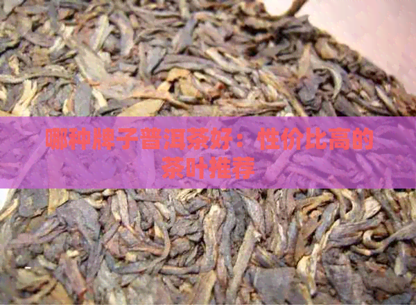 哪种牌子普洱茶好：性价比高的茶叶推荐