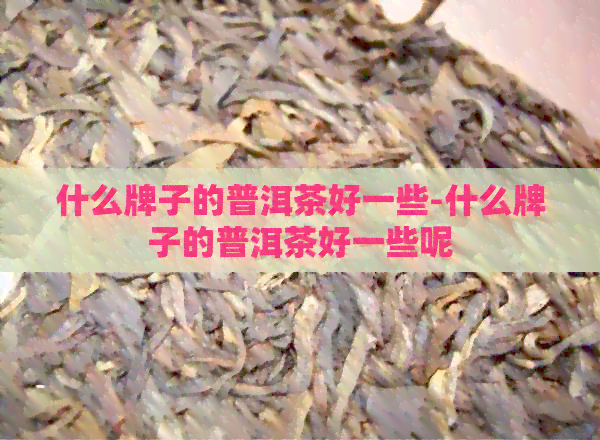 什么牌子的普洱茶好一些-什么牌子的普洱茶好一些呢