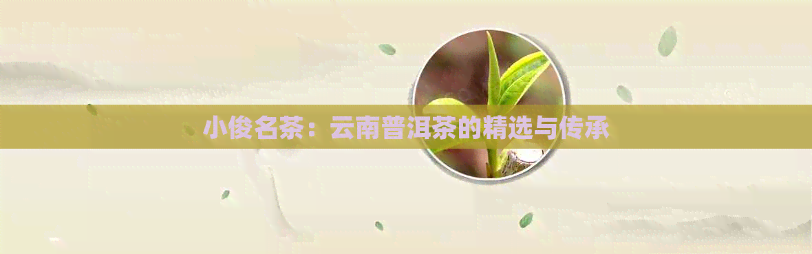 小俊名茶：云南普洱茶的精选与传承