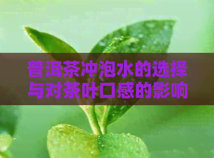 普洱茶冲泡水的选择与对茶叶口感的影响：一份全面的冲泡指南