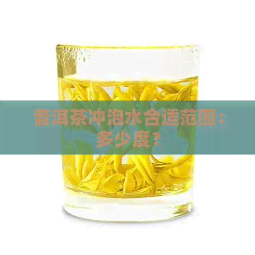 普洱茶冲泡水合适范围：多少度？