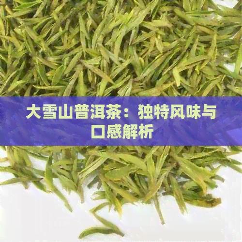 大雪山普洱茶：独特风味与口感解析