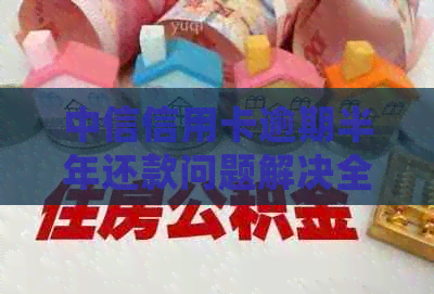 中信信用卡逾期半年还款问题解决全攻略：3万额度如何妥善处理逾期困境？