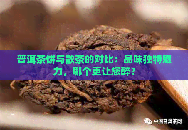 普洱茶饼与散茶的对比：品味独特魅力，哪个更让您醉？