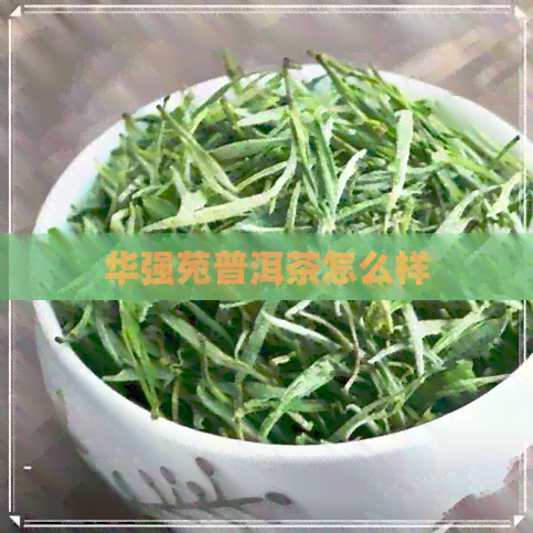 华强苑普洱茶怎么样