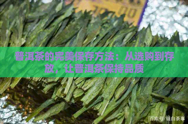 普洱茶的完美保存方法：从选购到存放，让普洱茶保持品质