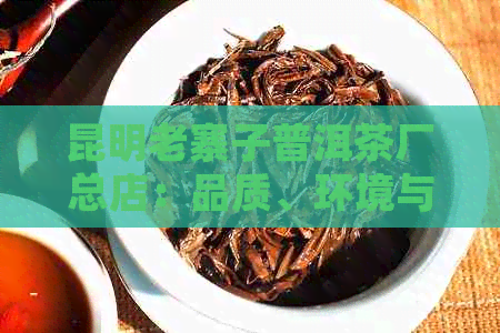 昆明老寨子普洱茶厂总店：品质、环境与服务的全方位评价与体验