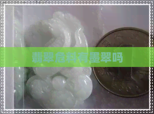 翡翠危料有墨翠吗