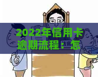 2022年信用卡逾期流程：怎么办、最新标准及政策