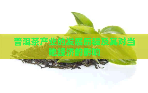 普洱茶产业的发展历程及其对当地经济的影响