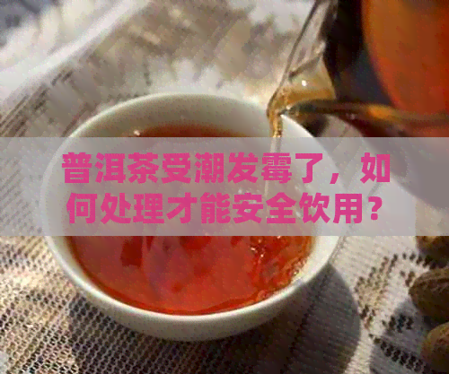 普洱茶受潮发霉了，如何处理才能安全饮用？