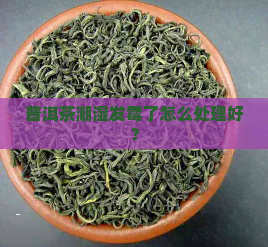 普洱茶潮湿发霉了怎么处理好？