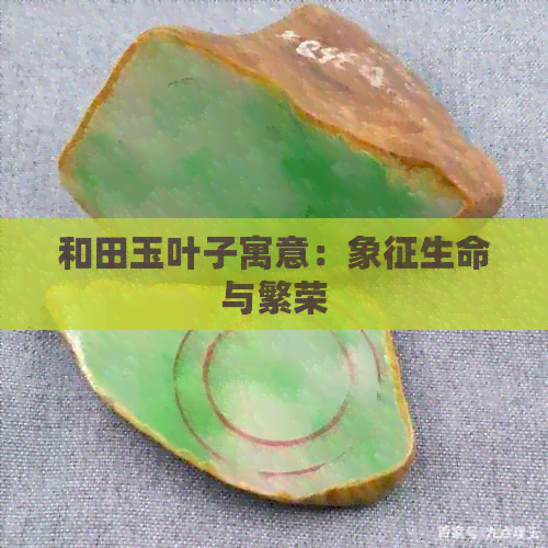 和田玉叶子寓意：象征生命与繁荣