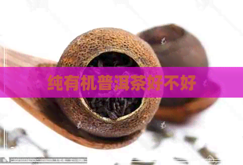 纯有机普洱茶好不好