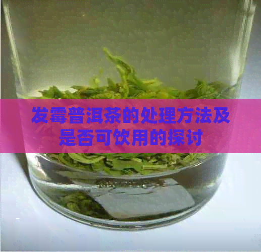 发霉普洱茶的处理方法及是否可饮用的探讨