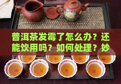 普洱茶发霉了怎么办？还能饮用吗？如何处理？妙招揭秘！