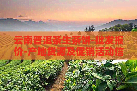 云南普洱茶生茶饼-批发报价-产地货源及促销活动信息大全