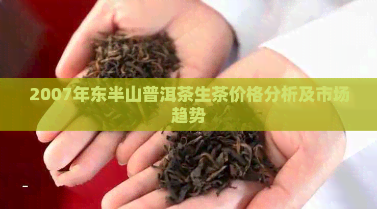 2007年东半山普洱茶生茶价格分析及市场趋势