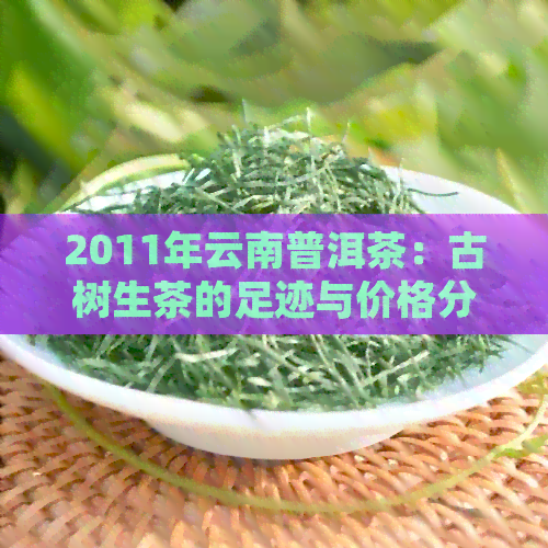 2011年云南普洱茶：古树生茶的足迹与价格分析