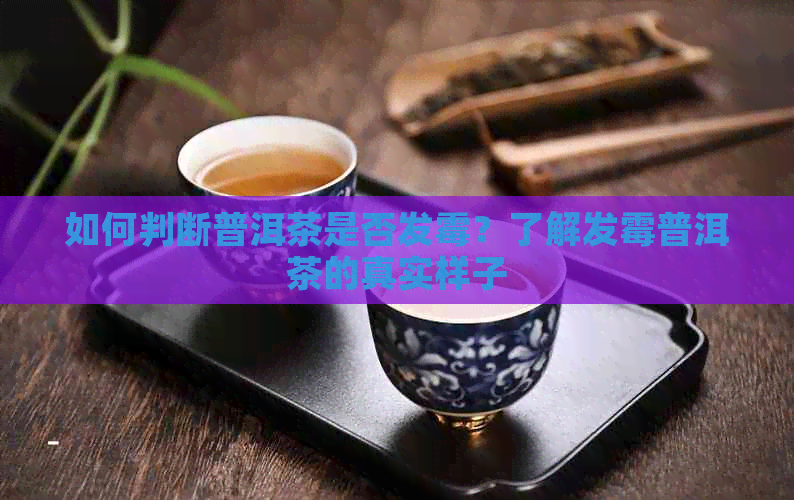 如何判断普洱茶是否发霉？了解发霉普洱茶的真实样子