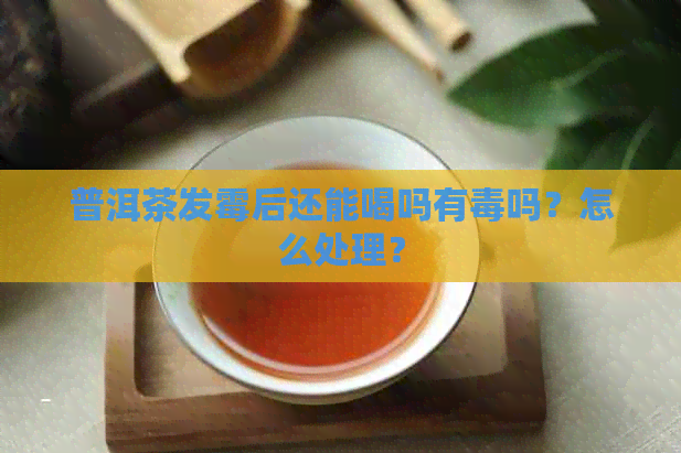 普洱茶发霉后还能喝吗有吗？怎么处理？