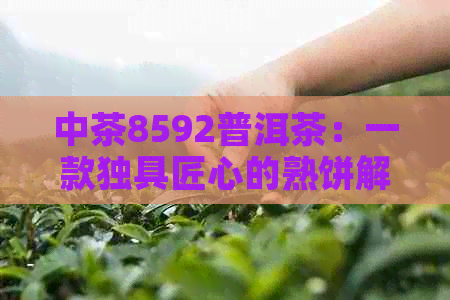 中茶8592普洱茶：一款独具匠心的熟饼解析