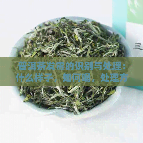 普洱茶发霉的识别与处理：什么样子，如何喝，处理方法