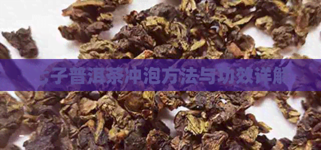 七子普洱茶冲泡方法与功效详解