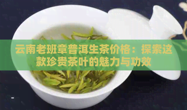 云南老班章普洱生茶价格：探索这款珍贵茶叶的魅力与功效