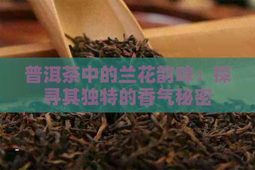 普洱茶中的兰花韵味：探寻其独特的香气秘密