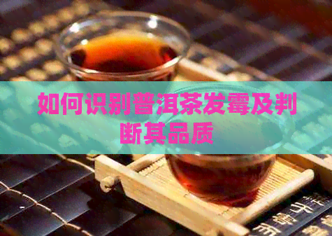 如何识别普洱茶发霉及判断其品质