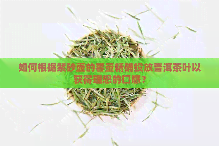 如何根据紫砂壶的容量精确投放普洱茶叶以获得理想的口感？