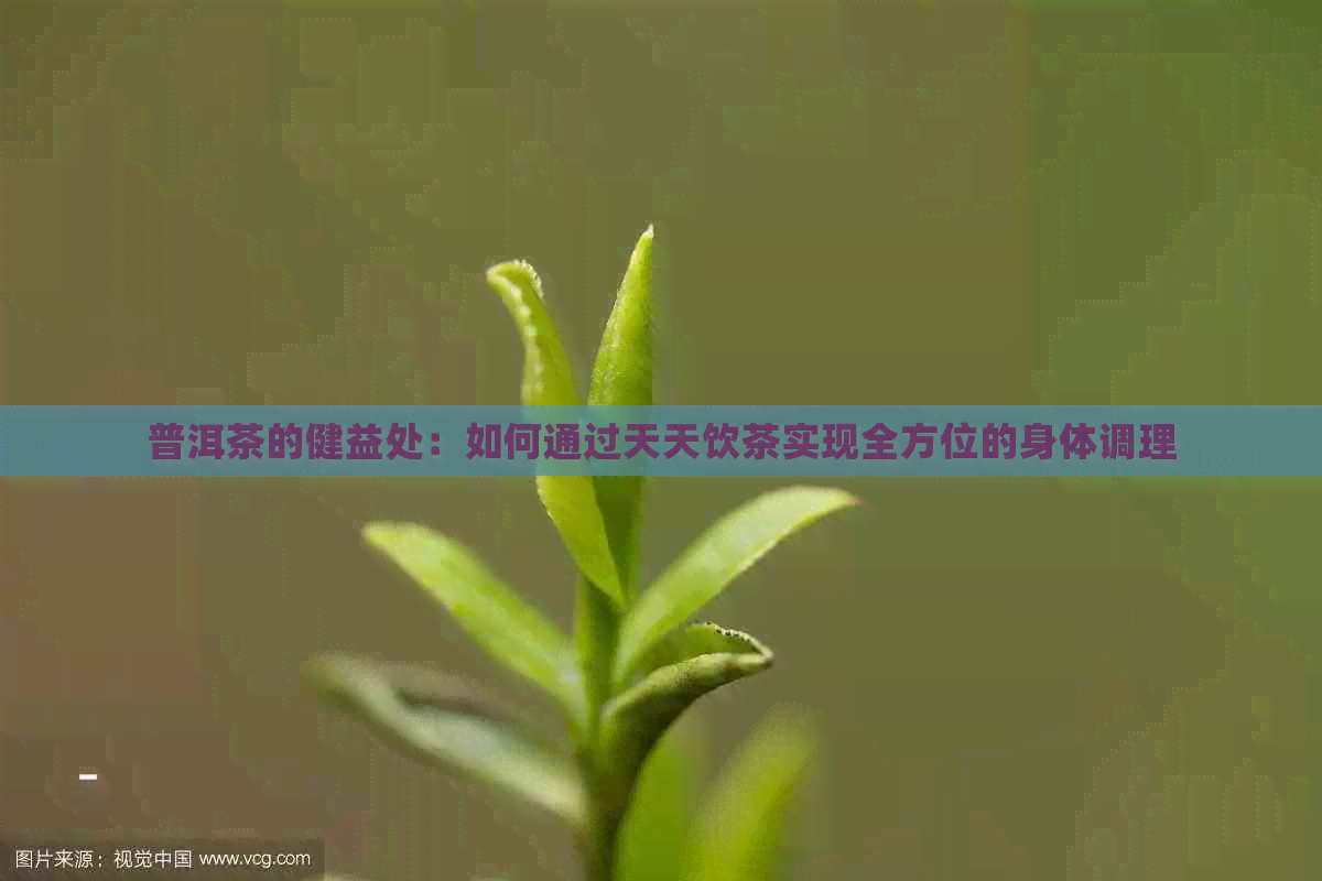 普洱茶的健益处：如何通过天天饮茶实现全方位的身体调理