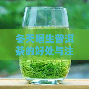 冬天喝生普洱茶的好处与注意事项：适合冬饮用吗？