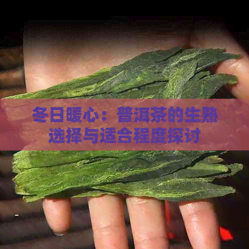 冬日暖心：普洱茶的生熟选择与适合程度探讨