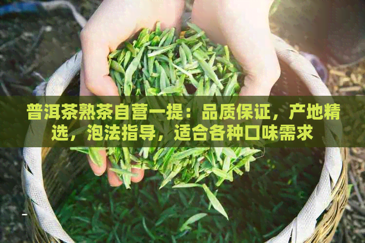 普洱茶熟茶自营一提：品质保证，产地精选，泡法指导，适合各种口味需求