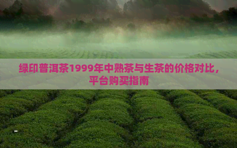 绿印普洱茶1999年中熟茶与生茶的价格对比，平台购买指南