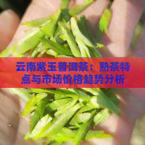 云南紫玉普洱茶：熟茶特点与市场价格趋势分析