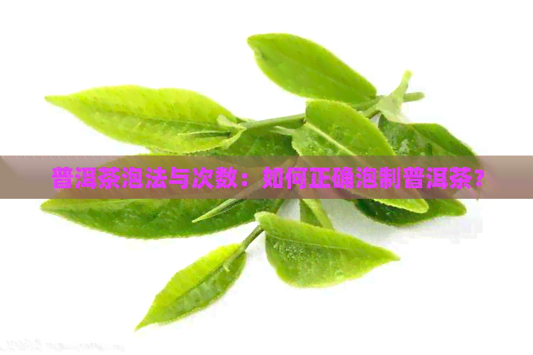 普洱茶泡法与次数：如何正确泡制普洱茶？