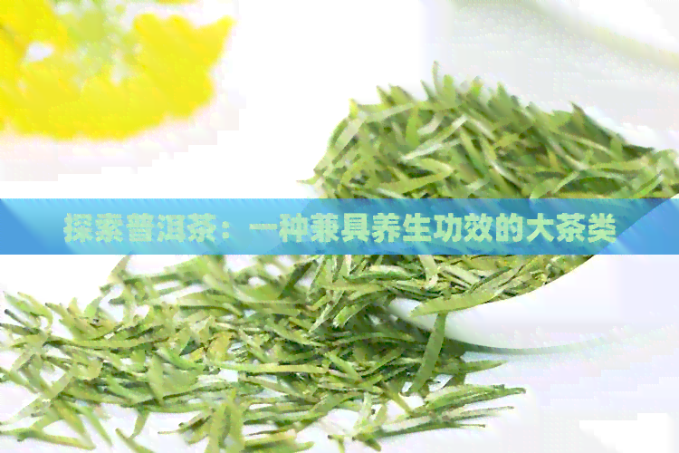 探索普洱茶：一种兼具养生功效的大茶类