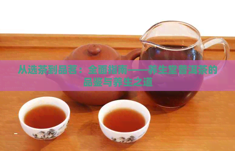 从选茶到品茗：全面指南——养生堂普洱茶的品鉴与养生之道