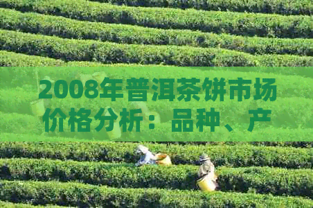 2008年普洱茶饼市场价格分析：品种、产地与品质的综合考量