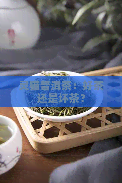 灵猫普洱茶：好茶还是坏茶？